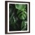 Obraz w ramie brązowej, Soczysta zieleń 80x120