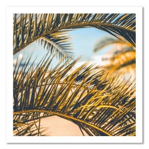 Obraz na płótnie - Canvas, Liście palmy 50x50