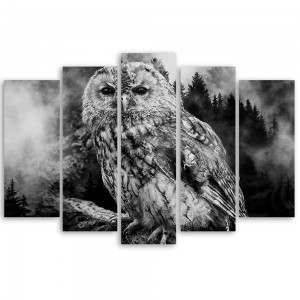 Obraz pięcioczęściowy, Czarno - biała sowa 150x100