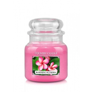 Country Candle - Blooming Plumeria - Średni słoik (453g) 2 knoty